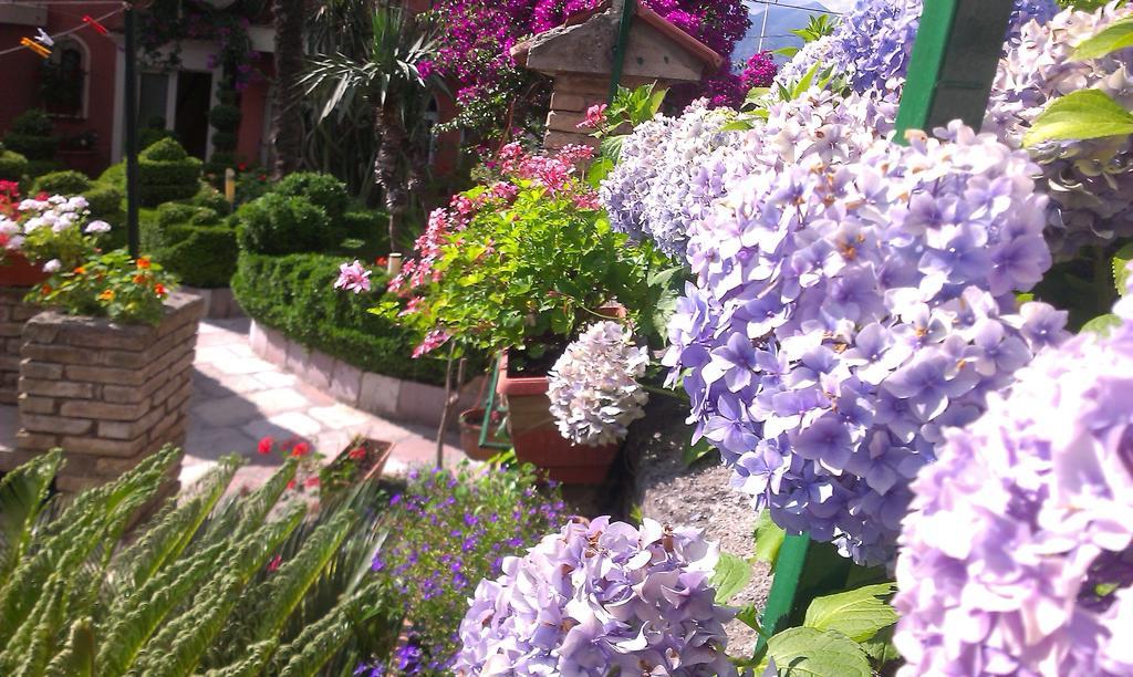 Apartment City Garden Kotor Pokoj fotografie